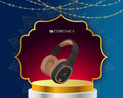 Zebronics category